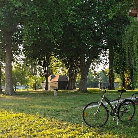 *Gite Aux Grappes Du Pressoir* A 2 Km De Beauval Seigy Kültér fotó