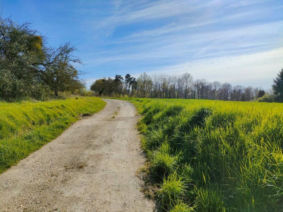 *Gite Aux Grappes Du Pressoir* A 2 Km De Beauval Seigy Kültér fotó
